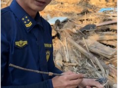 福建男子自发前往广西横州抓捕蛇 义务除患获赞