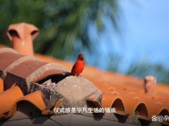 小伙入读国防科大家人穿传统盛装送学 仪式感满满的成长礼