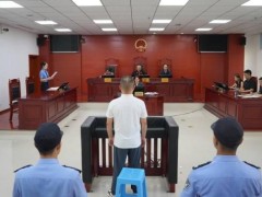 男子连环诈骗12人超百万获刑12年 虚构入职骗局